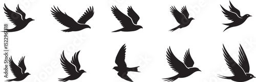 Ten silhouettes of birds in flight soaring free. eps-10