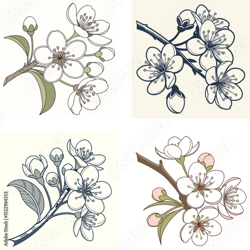 A pear tree flower icon with clustered white petals.