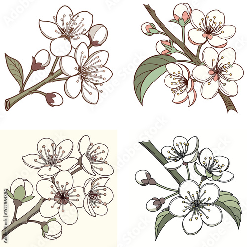 A pear tree flower icon with clustered white petals.