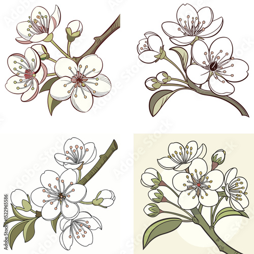 A pear tree flower icon with clustered white petals.