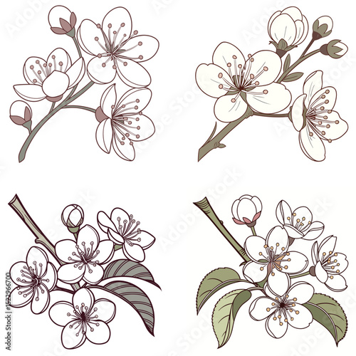 A pear tree flower icon with clustered white petals.