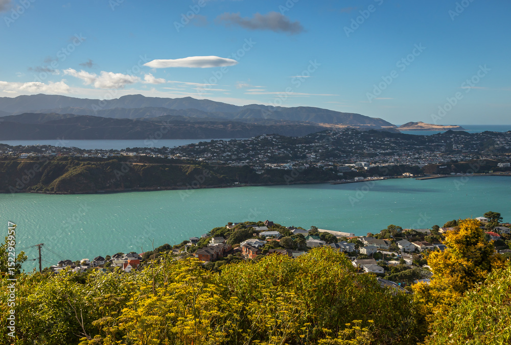 Obraz premium Exposure of New Zealand's Capital Wellington, namely its Central Business District viewed from Mount Victoria, at day time on a beautiful sunny day, Australia