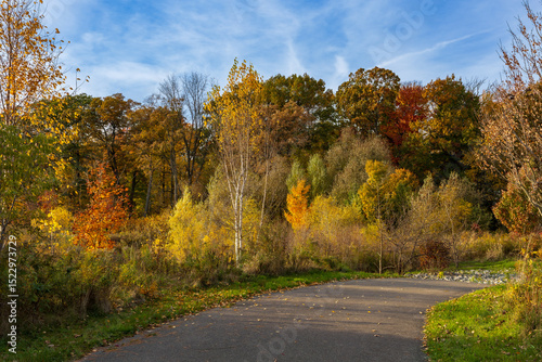 Path in the middle of a small forest area during autumn, surrounded by bushes and grass found in Hamilton, Ontario, Canada.