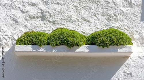 moss forming natural symmetry along an off-white cement ledge, with pure empty surroundings, quiet shadows, and soothing surface realism with high clarity