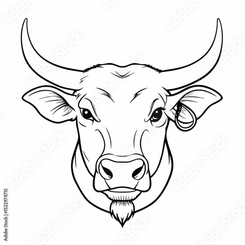 Outline illustration of bull head for coloring book and design purposes