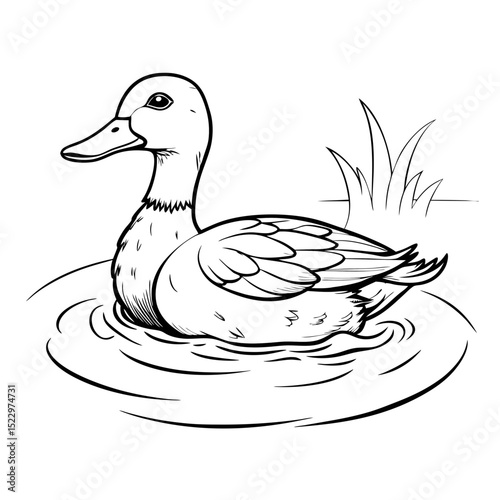 Duck swimming in a pond with grass illustration in outline style