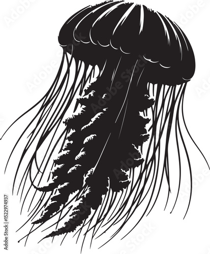 High quality Jellyfish black vector