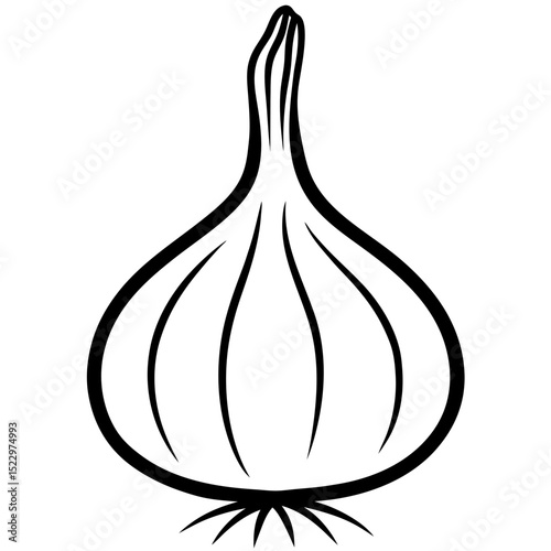 vector illustration of onion