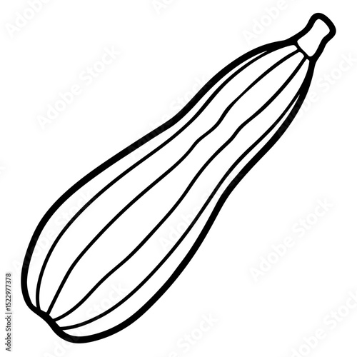 vector illustration of onion