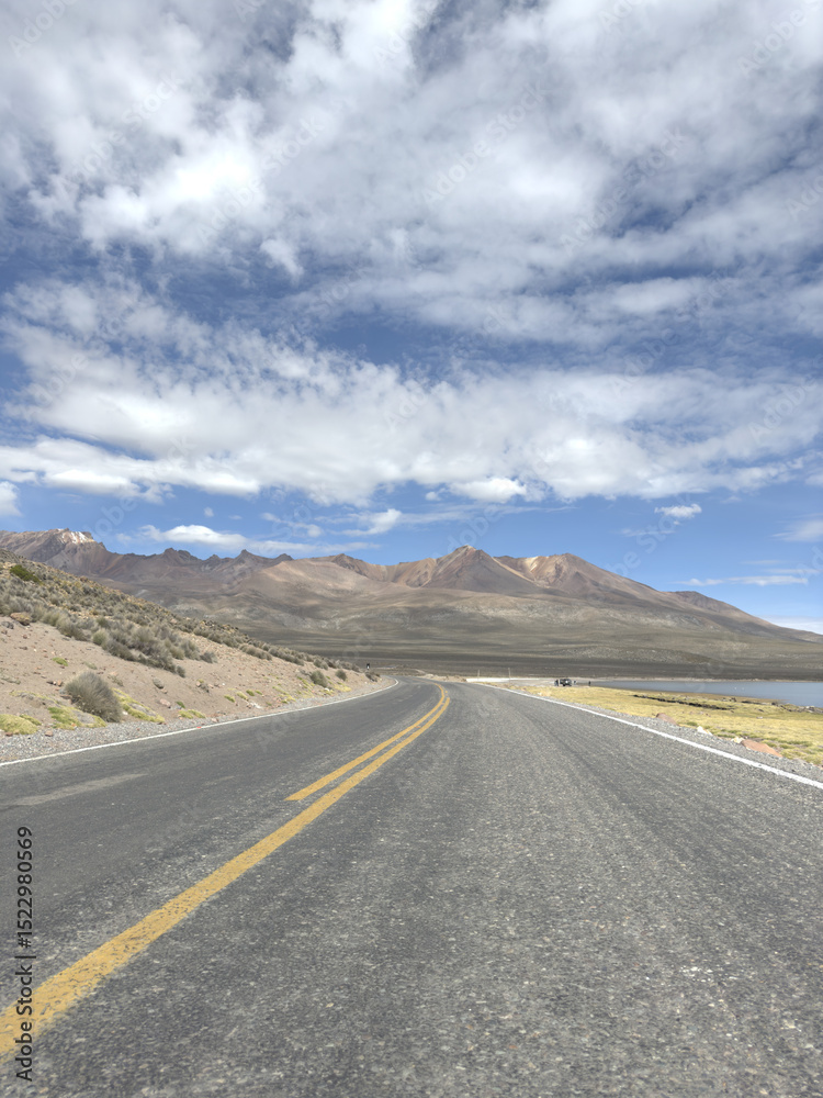 Naklejka premium дикая природа