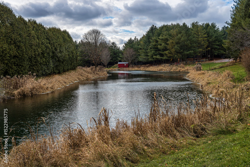 Evergreen coniferous trees at a Christmas tree farm with a pond in Ontario, Canada.