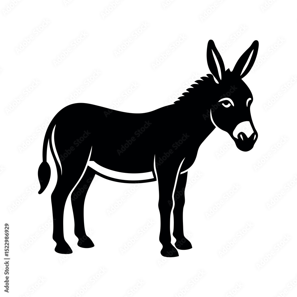 Fototapeta premium donkey isolated on white background