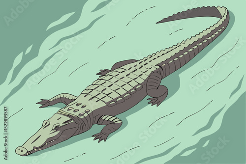 Crocodile floating calmly in green water seen from above in vector style