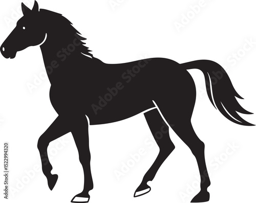horse black silhouette,horse black vector
