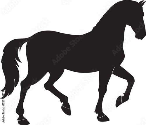 horse black silhouette,horse black vector
