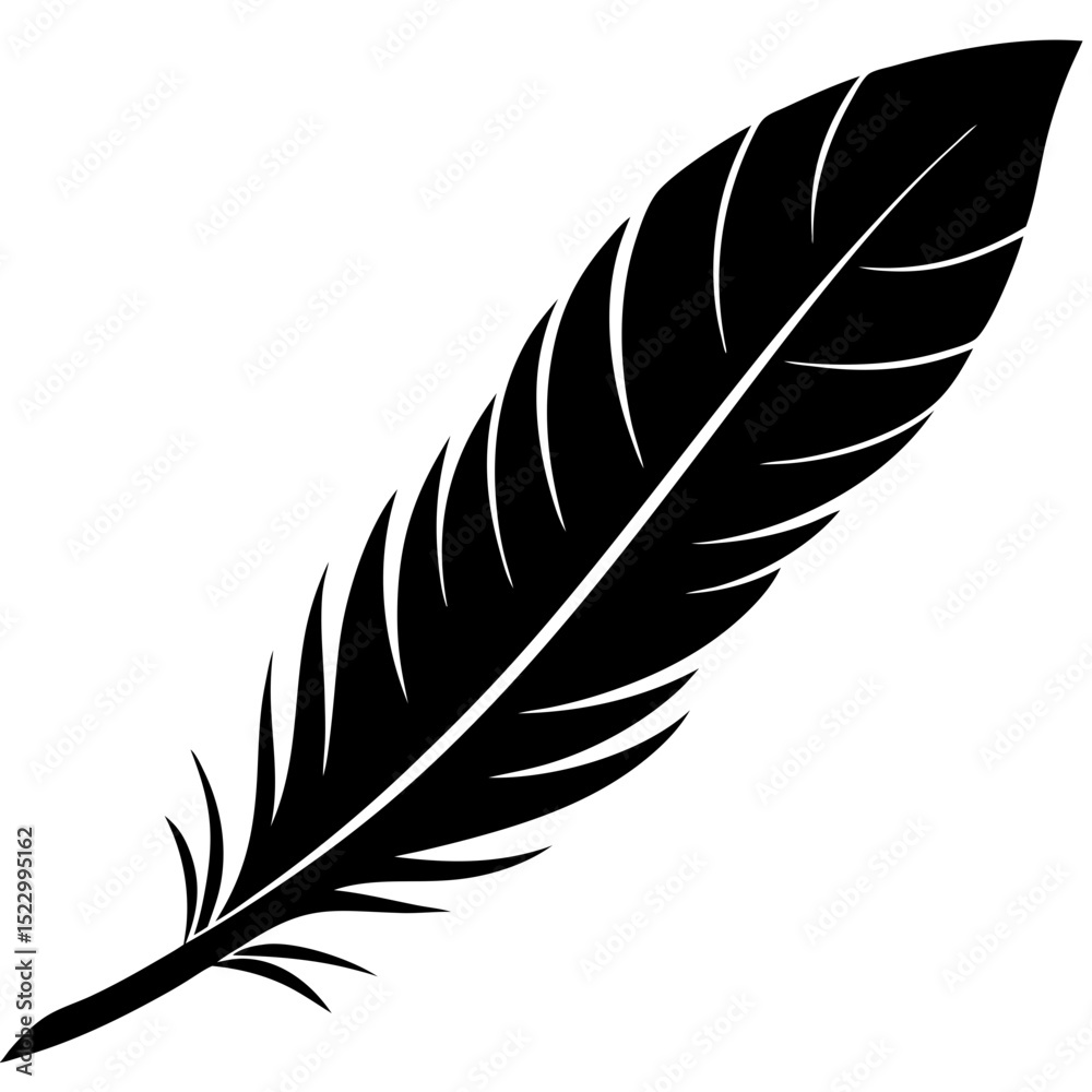 Obraz premium feather with soft shadow on white background 