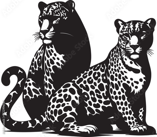 High quality Leopard black vector