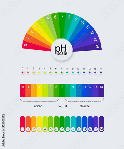 pH scale chart for acid and alkaline solutions. Acid-base balance infographic. Vector