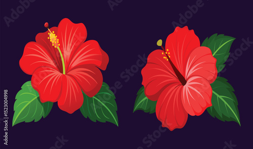 Two red hibiscus flowers with green leaves