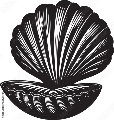 High quality  Clam black vector