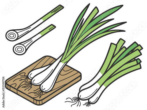 Collection set of Scallions (Spring onions) In different perspectives