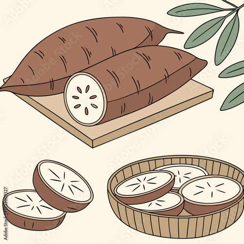 Collection of Yacon (Peruvian root used in Japan) In different perspectives