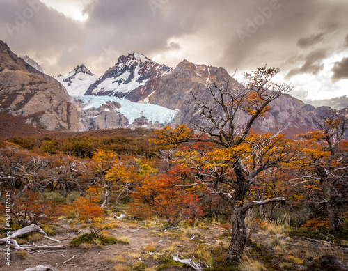Just another day of hiking in Patagonia in the fall -5