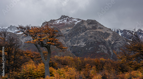 Just another day of hiking in Patagonia in the fall -4