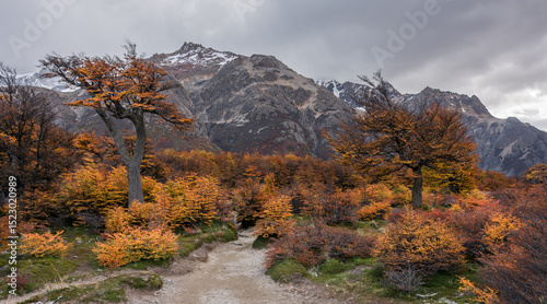 Just another day of hiking in Patagonia in the fall -3