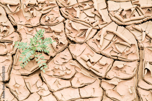 Abiquiu, New Mexico, United States. Dried clay during drought season. photo