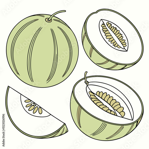 Collection set of Honeydew melon In different perspectives