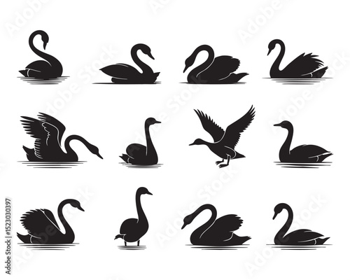 Elegant black swan silhouettes collection waterfowl birds