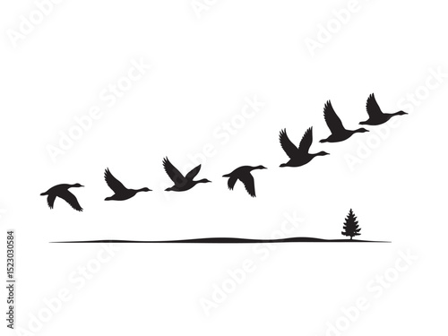 Silhouette of geese flying in formation over landscape