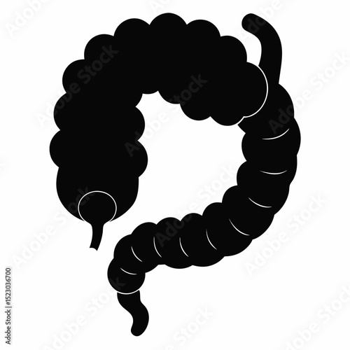 Human organ big intestine vector art white background