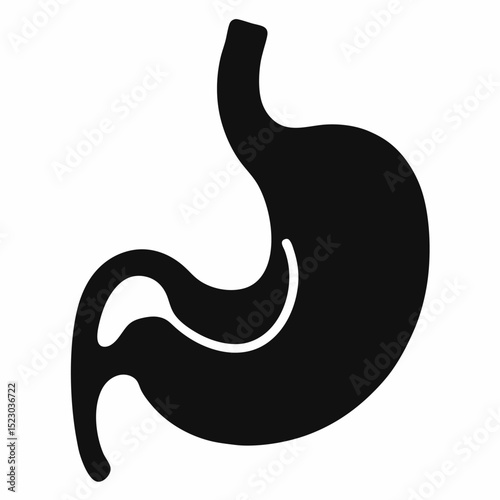 Human organ stomach vector art white background