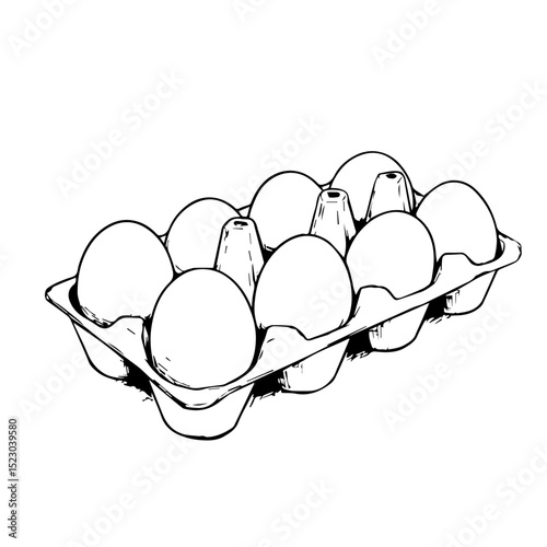 Fresh eggs in carton.  Dozen eggs, organic farm products, healthy food choice.  High quality image of eggs perfect for cookbook, packaging design, or grocery store advertisement.