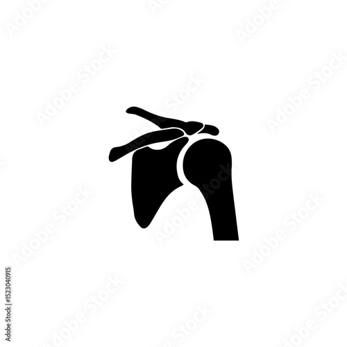 Human shoulder joint anatomy illustration. Detailed graphic shows bones and ligaments of shoulder. Medical image perfect for educational materials, anatomical charts,