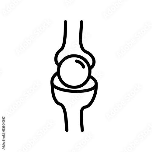 Human knee joint anatomical illustration. Detailed drawing shows knee bones and cartilage.  Simple medical illustration perfect for educational materials, presentations,