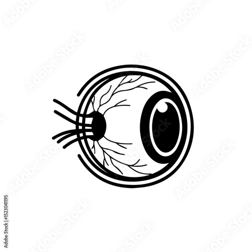 Detailed human eye anatomy illustration.  Eye diagram shows iris, pupil, optic nerve, and blood vessels. This medical illustration is perfect for ophthalmology textbooks, educational posters,