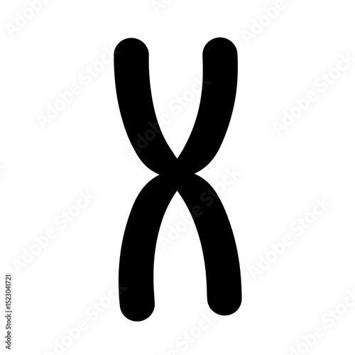 Chromosome X image, genetic symbol, biology illustration.  Detailed chromosome X illustration for scientific publications, educational materials, and medical research.