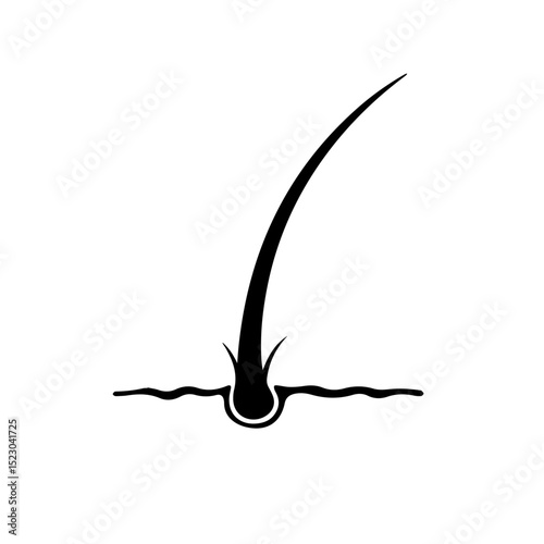 Single hair follicle detail illustration. Detailed close-up of hair root and shaft structure.  Simple graphic representation perfect for dermatology educational materials, medical publications,