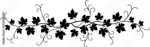 Black grapevine decorative border with leaves and curling tendrils vector illustration 