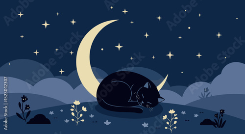Sleeping black cat under crescent moon with stars night landscape vector illustration 