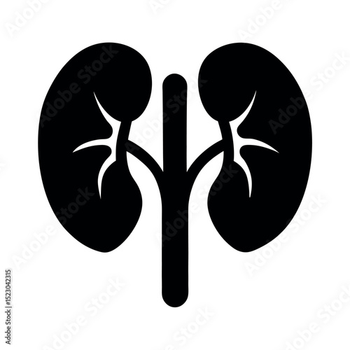 kidneys