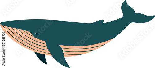 Blue whale vector illustration in simple flat style ocean animal design 