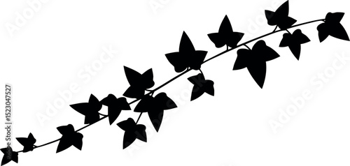 Ivy vine silhouette vector with black leaves on white background natural design 