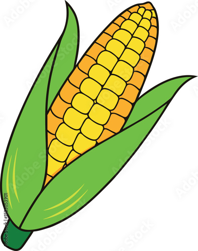 
an illustration of corn on a white .Golden maize corn cob isolated. Corn in the peel