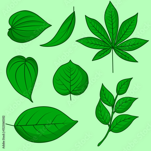 seamless pattern with green leaves Tropical leaves vector set. Palm leaf, coconut leaf, banana leaves, monstera, fern, Botanical and Jungle leaves design for nature background, Eco and summer banner, 