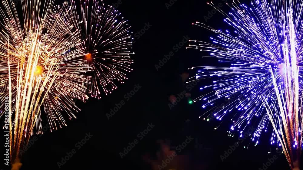 Colorful fireworks explode against black sky followed by bold golden “WINNER” text reveal, festive video for celebration, achievement, and award announcements