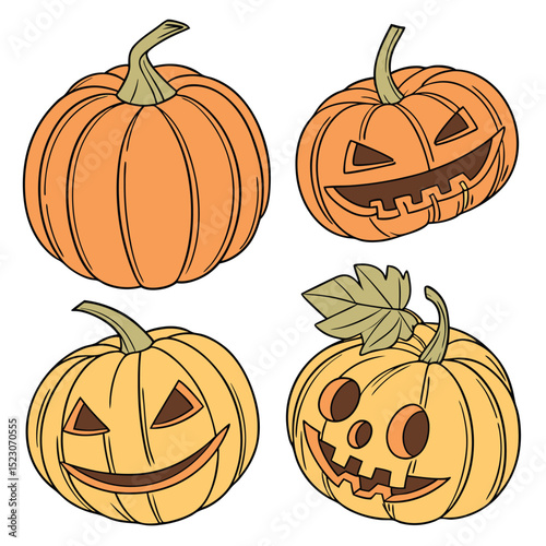 Collection set of Pumpkin In different perspectives